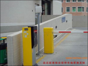 河北衡水盛宇门业制造厂批发供应车库门,铁艺门,工业门,防盗门