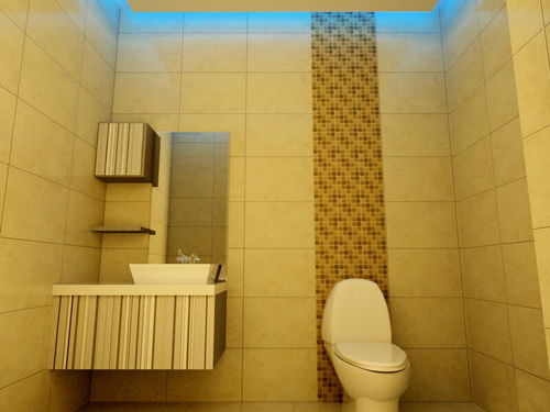 卫生间装修效果图推荐与风水小知识 | 金斗门业