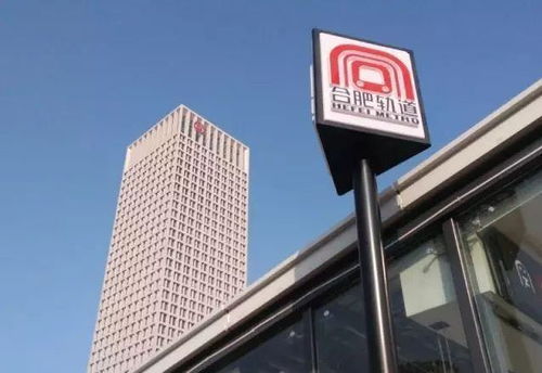 滨湖新区重磅教育规划出炉，金斗门业等小区业主或迎学区价值跃升